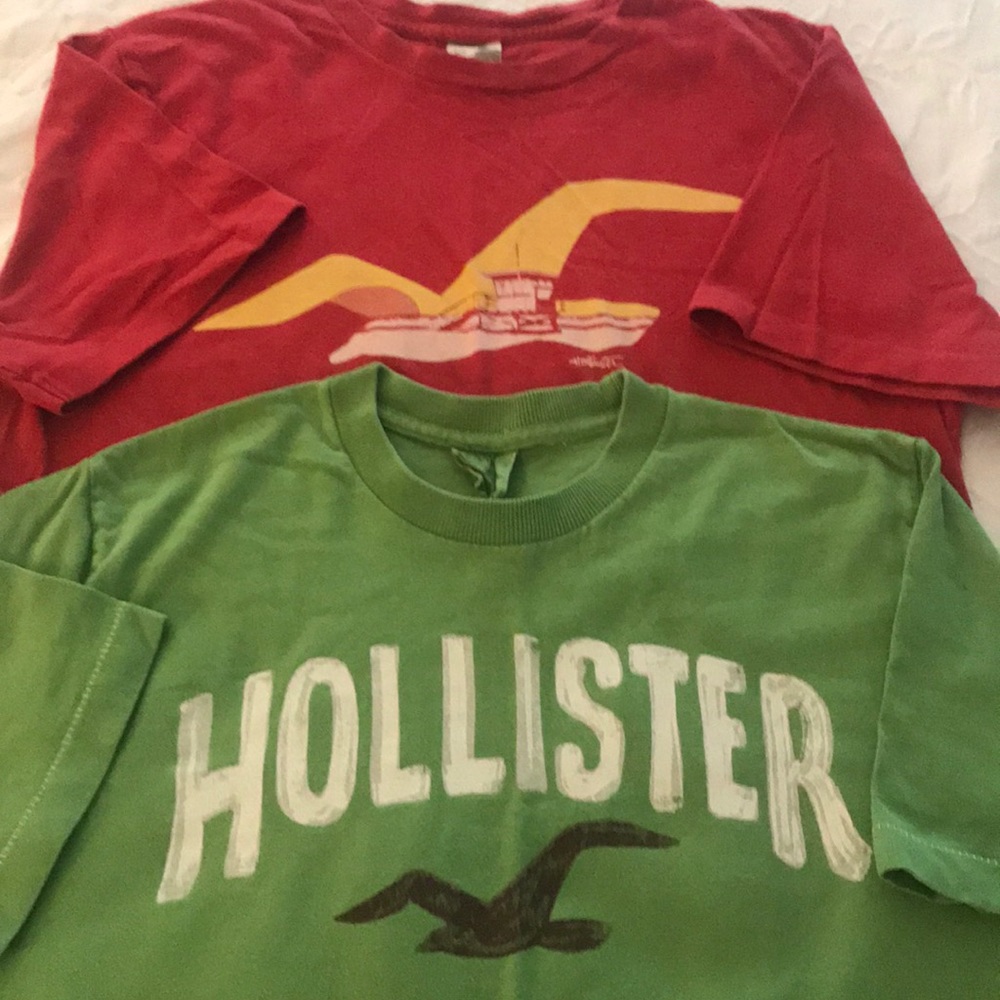 Hollister Tee Shirts